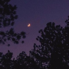 Moonlight Walk [prod. Eeyore]