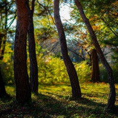 [추수감사 : 왜 내게 복을 주시나요?]잠16:15