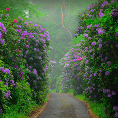 nicki minaj   your love piano