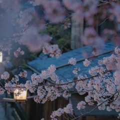 سورة الشعراء / ياسر الدوسري