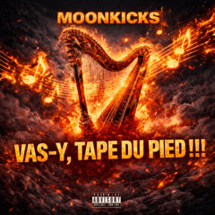 Vas y tape du pied Moonkicks