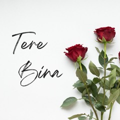 Tere Bina