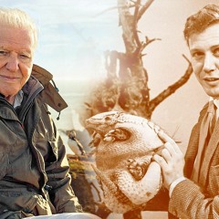 The Sailor's Bonnet - The Gloaming inc Sir David Attenborough and Jeff Buckley