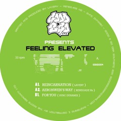 RENEGADE Hz - AERONWEN'S WAY - G2G004 FEELING ELEVATED