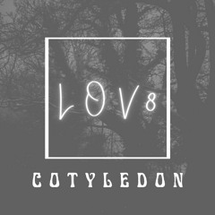 Cotyledon WIP
