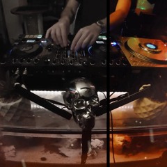 silent in paradise: HBFR's Epic Techno Peak Time Drunkencode 03-08-25