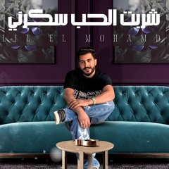 ليل المحمدى