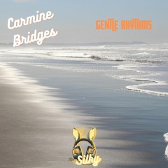 Carmine Bridges -  Gentle Rhythms (Mr Silky's LoFi Beats)