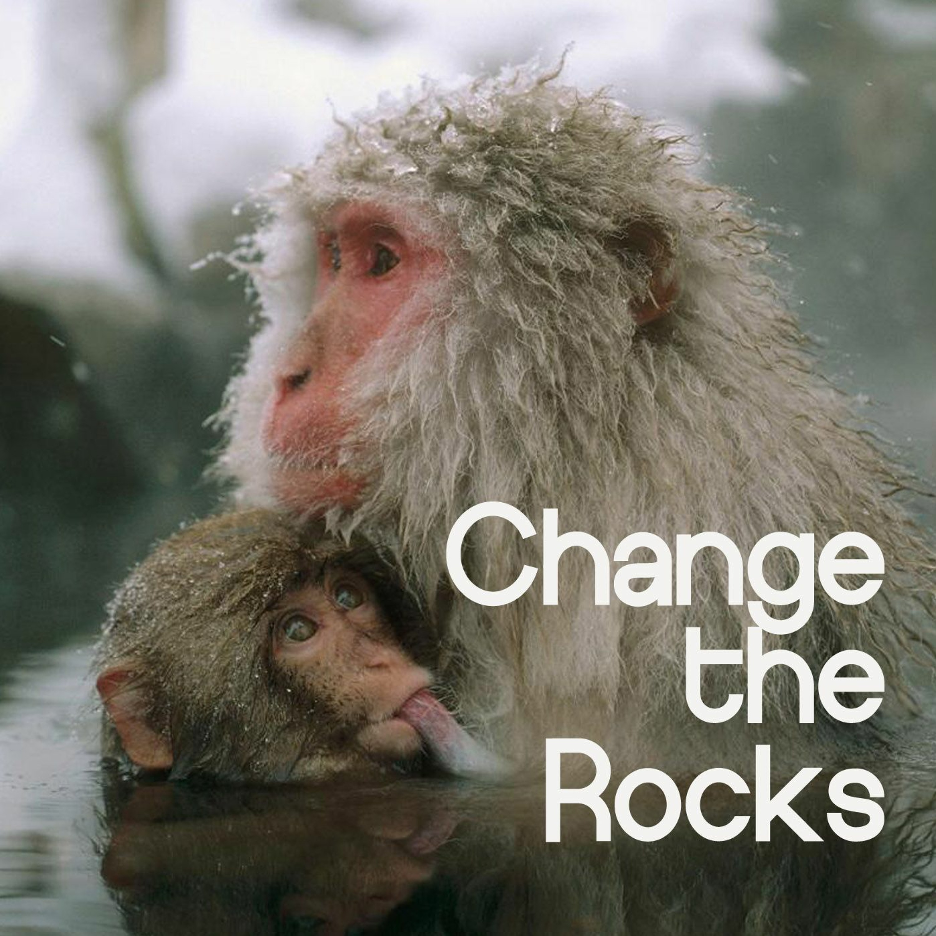Change the Rocks episode artwork