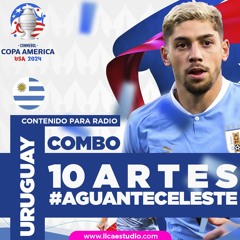 Demo Arte Copa América - Aguante Celeste