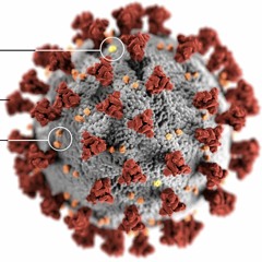 Virus