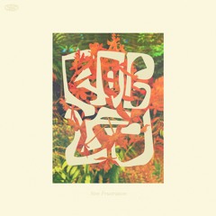 Premiere: Rob LFO - New Frustration [Lost Properties]