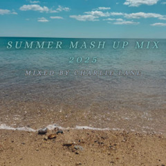 Summer Mash Up Mix 2025