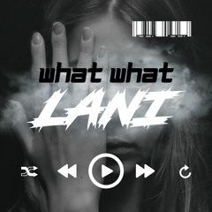 What What - 삑 삑 - LANI (Original Mix)