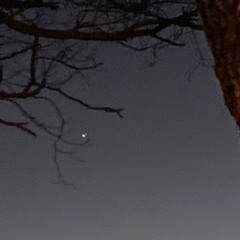 Ghost (Ty Segall cover)