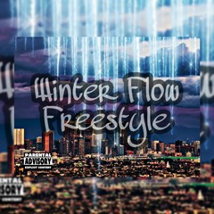 Winter Flow Freestyle ( Produced By Wns Beats)