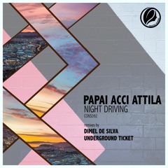 Papai ACCI Attila - Night Driving (Dimel De Silva Remix) [Consapevole Recordings]
