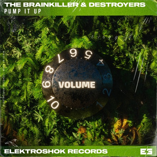 Destroyers & The Brainkiller - Pump It Up