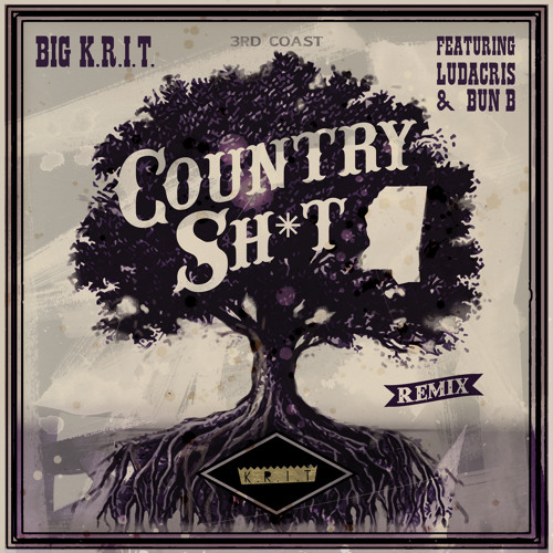 Country Sh*t (Remix) (Edited Version) [feat. Bun B & Ludacris] by