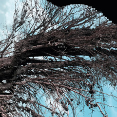 yearning