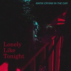 ANITA! Crying in the CAR - Lonely Like Tonight