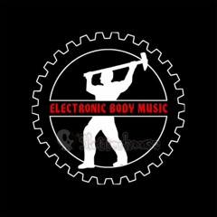 EBM/PostPunk/newBeat/ColdWave/Industrial/Techno