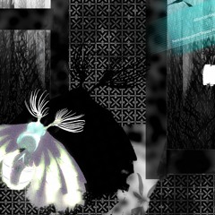 Private Poet's Entropy