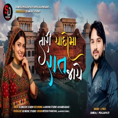 Tari Yaado Ma Raat Jaye