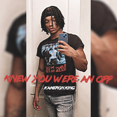 Knew You Were An Opp (Knew You Were Trouble Remix)