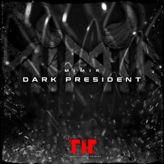MiMiR-Dark President VA001
