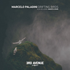 PREMIERE: Marcelo Paladini - Drifting Birds [3rd Avenue]