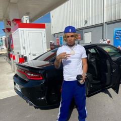 Zola Bandicoot EXCLU