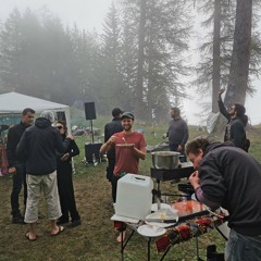 Forest Symphony
