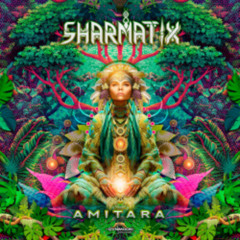 Sharmatix & Pulsar – NanoKontrol [from the album “Amitara”]