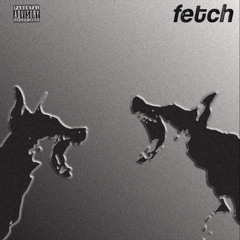 FETCH