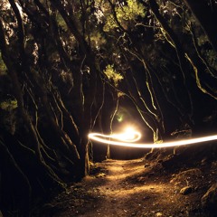 Meet Me in the Woods Tonight-Lord Huron (Cover)