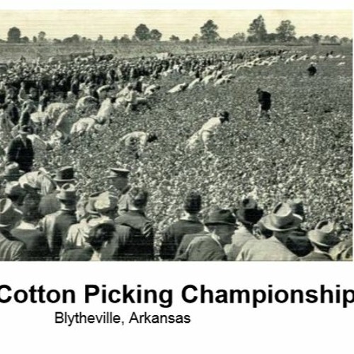 Stream episode National Cotton Picking Championship, Arkansas by Be