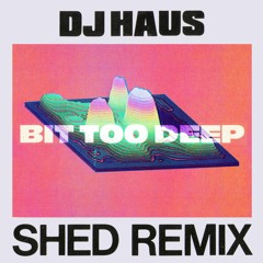 DJ Haus - Bit Too Deep (SHED Remix)