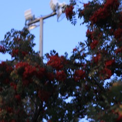 10.12.25