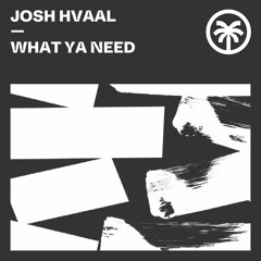 Josh Hvaal - What Ya Need [Hottrax] [MI4L.com]