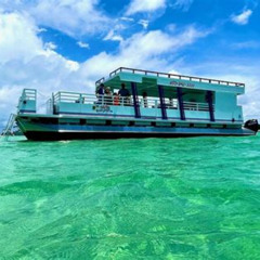 Review Special Price Tailfins Destin Crab Island Sandbar -Splish Splash Fun