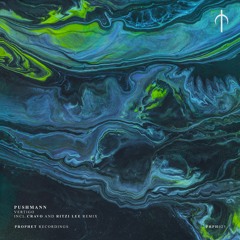 Pushmann - Vertigo Incl. CRAVO & Ritzi Lee Remix [PRPH025]