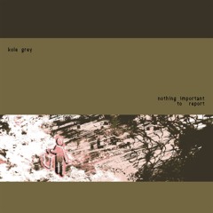Kole Grey - Nothing Important To Report