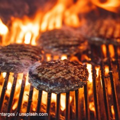 Kunstfleisch: eine umweltfreundlichere Alternative zum Fleisch aus Massentierhaltung?