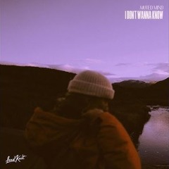 Muted-Mind I-Dont Wanna Know