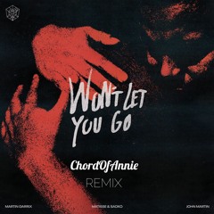 Martin Garrix - Won't Let You Go (ChordOfAnnie Remix)
