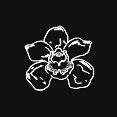 BLACKORCHid