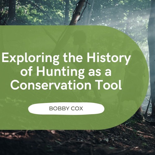 Exploring The History Of Hunting As A Conservation Tool By Bobby Cox