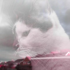 alfy