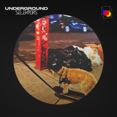 Premiere: 'Anderson - Various Shades': 06 Hooked On Sonics - 2v2
